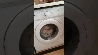 Beko WMB 50811 NY - washing    #cleantok #laundry #pralka #washingmachine #beko #washer