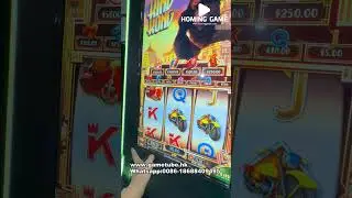 USA Hot Fusion Plus Slot Table Game Machine | Banilla Games 8-in-1 Skill Cabinet Supply byHomingGame
