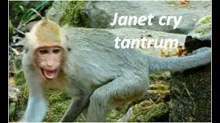 Brat Janet cry tantrum angry Baby Janna while Janna did nothing only mom Jane stop milk