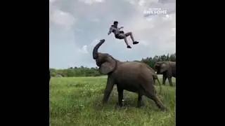 People are Awesome vs Fail Army  March 2019