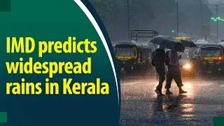 Relentless rains ravage Kerala, yellow alert in 4 districts