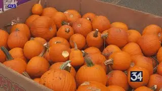 Broome County Food Council presents at Rotary