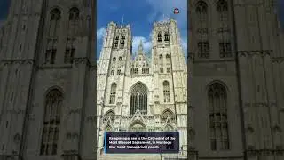 Roman Catholic Diocese of Montego Bay #Shorts #wikipedia #youtubeshorts #facts #fact