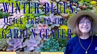 😍 Bored in the Snow? Let's Visit The Garden Center! 😍