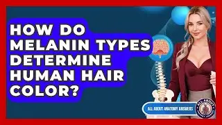How Do Melanin Types Determine Human Hair Color? - All About Anatomy Answers