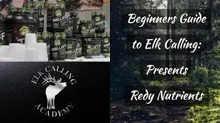 Nutritional Supplements for the Mountain Athlete: Redy Nutrients