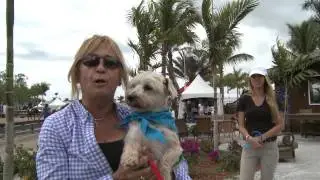 Kim Kolloff With Dannny and Ron Rescue Dogs at WEF 2013