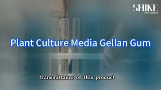 Plant Culture Media Gellan Gum