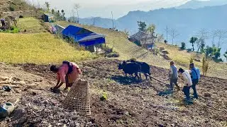 Typical lifestyle in village Nepal | rural community life in western Nepal | village life in Nepal