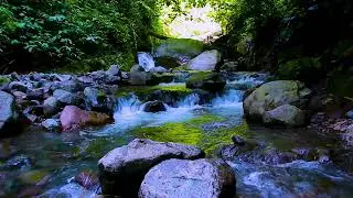 Improve Concentration with Mountain River Flowing Sounds, Soft Water White Noise