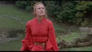 Princess Bride -Captain Swan