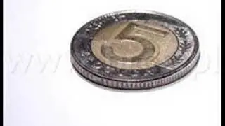 Patolog Skład -- 5 pln