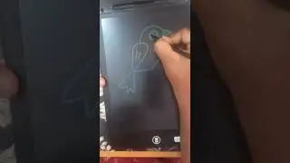 How to draw a bird #easydrawingsforkids #easydrawingsforbeginners #simpledrawing #bird