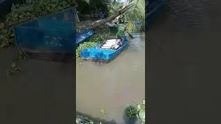 PH&Acirc;N LƯỜI XUỐNG GHE VỀ VỚI ANH KHA Ở PHỤNG HIỆP - HẬU GIANG