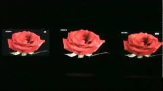 NAB 2011-Demo : Sony BVM Monitors (OLED)