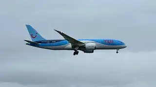 Schiphol landing compilatie 