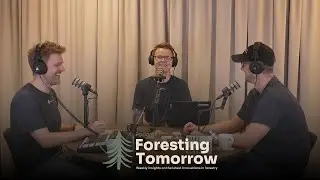 Foresting Tomorrow #38 | Super wood, satellite forests, and shrimp shell secrets