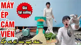 🔥 Tôi Dùng Máy Ép Cám Viên S250 Ép Cá To Và Ốc Bươu Thành Cám Viên VÀ ĐÂY LÀ KẾT QUẢ