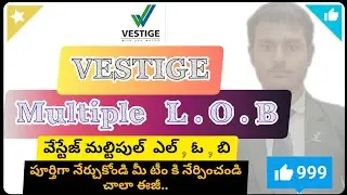 Multiple L.O.B Vestige Telugu || Very Simple and Very Powerful Income