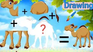 Wrong head puzzle || Make a horse || with drawing || A one