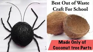 Coconut Shell Beetle | Best Out Of waste Craft For School | Saida Art & Craftcoconut shell crafts