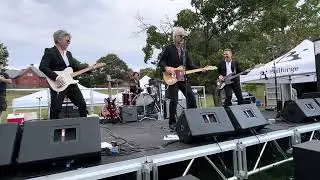 The Del Fuegos - 