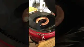 Kazi in Canada. Казы в Канаде