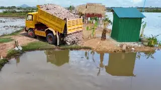 Nicely Action New Project!! FILL Land On The Flooded Area by Bulldozer Komat'su & Dump Truck