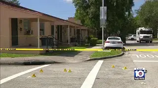 Officer shoots at dog after woman attacked in Miami, police say