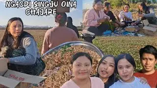 Ngacdi singju oina chajare mayam🤗