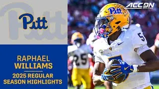 Raphael Williams Jr. 2025 Regular Season Highlights | Pitt Wide Receiver