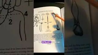 The Heart's Intelligence | Christ Consciousness 🧠❤️ #spiritualawakening #shorts #shortvideo