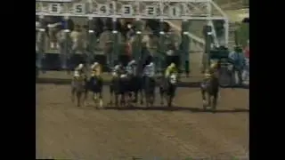 FARMA WAY - Pimlico Special 1991