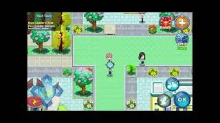 Reach town gym leader test find the gym leader in rech town gym ep-19362