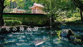 年の神水源～玉名・清冽な湧水と木漏れ日と～（熊本県玉名郡玉東町）観光・移住定住PR