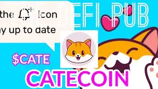 CateCoin | The Ultimate Meme Coin! DeFi NFT P2E Gaming