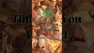 Zack Tabudlo - The Way You Wanted (Audio Teaser) #shorts