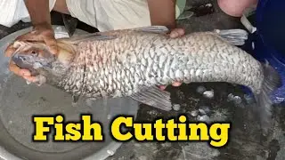 Fish cutting at home, Fish cutting skills, fish cutting video, fish cutting expart.