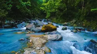 Relaxing River Sounds for Sleep | Calm Flowing Water for Stress Relief & Focus