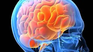 CBD Cannabis Oil Benefits by Dr Sanjay Gupta Join Hempworx