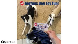 Spot ZooYoos Dog Toy Fun