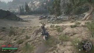 Even animals get troll'd on Days Gone
