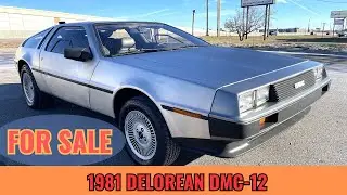 1981 Delorean DMC-12  ** FOR SALE **  #usa #delorean #cool