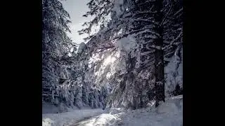 L'inverno dentro