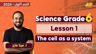 science grade 6 first term unit 1 lesson 1 | the cell as a system grade 6