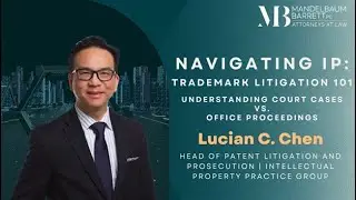 Navigating IP Trademark Litigation 101 Understanding Court Cases vs Office Proceedings