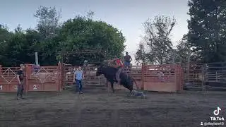 riley lane bull riding practice pin