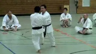 Gasshuku 2010 in Tamm - Sensei Julian Cheese