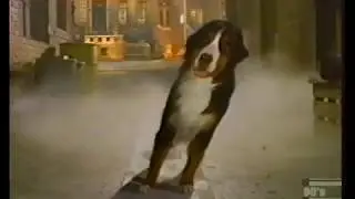 Kibbles 'n Bits Dog Gang Commercial 1994