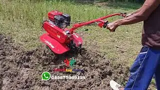 Mini tiler Tiger GT 800